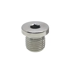 M8 M10 M12 M14 M16 M18 M20 M22 M24 M27 M30 Metric Male Thread 304 Stainless Steel Hex Socket Head End Cap Pipe Plug
