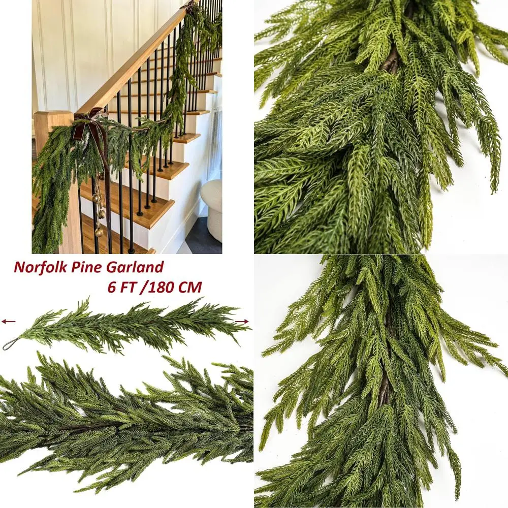 6Ft Norfolk Pine Ar… - image