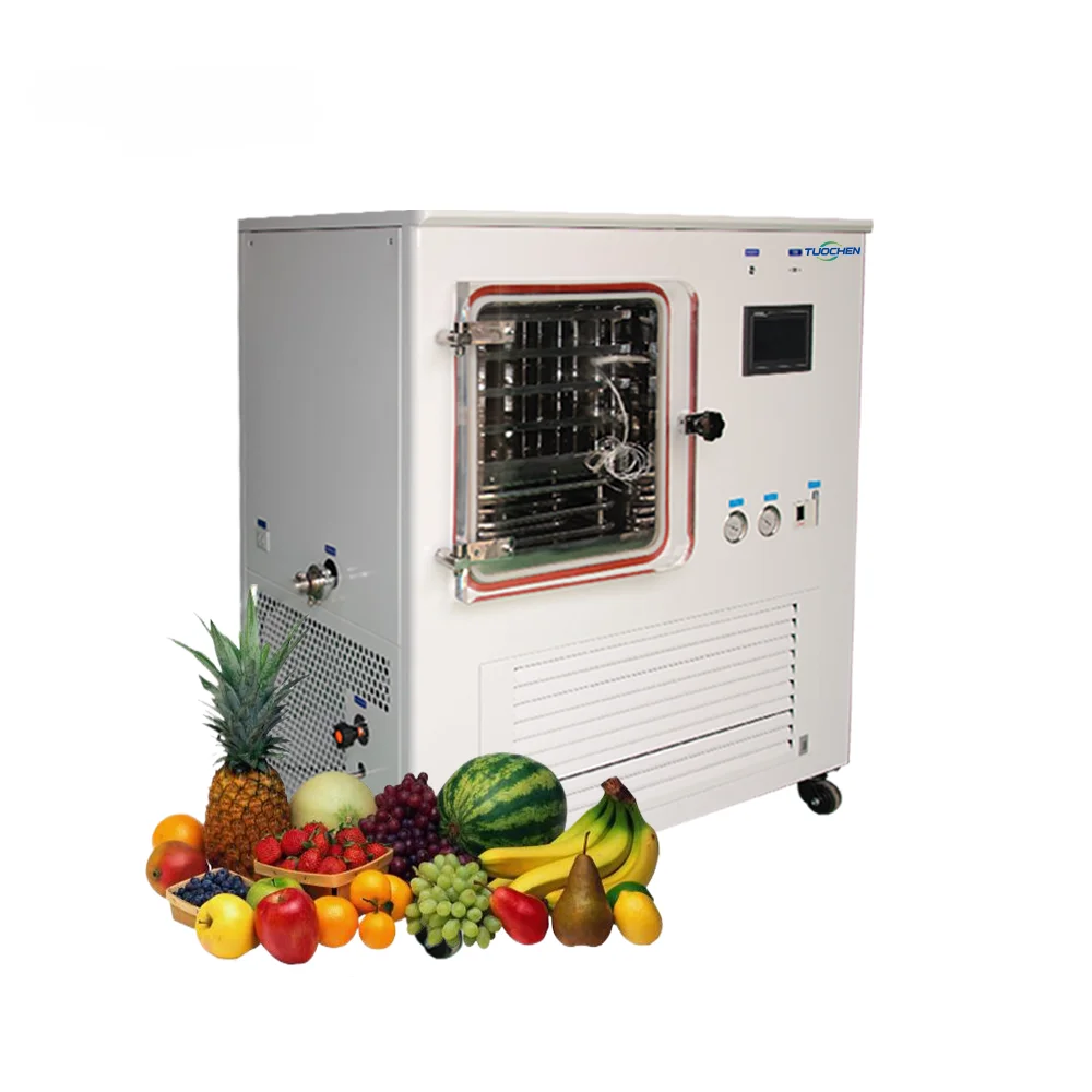 Freeze Dryer Laboratory Mini Small Food Lyophilizer Pilot Scale Experimental Vacuum Freeze Drying Machine ZLGJ-50