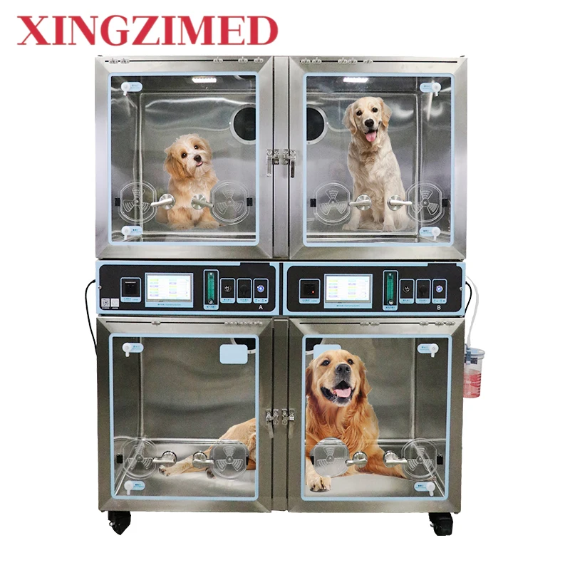 XINGZIMED ΠΌΠ΅Π΄ΠΈΡΠΈΠ½ΡΠΊΠΎΠ΅ Π²Π΅ΡΠ΅ΡΠΈΠ½Π°ΡΠ½ΠΎΠ΅ ΠΎΠ±ΠΎΡΡΠ΄ΠΎΠ²Π°Π½ΠΈΠ΅ ΡΠ΅ΡΠ°ΠΏΠΈΡ ΠΈΠ· Π½Π΅ΡΠΆΠ°Π²Π΅ΡΡΠ΅ΠΉ ΡΡΠ°Π»ΠΈ ΠΊΠΈΡΠ»ΠΎΡΠΎΠ΄ ΠΆΠΈΠ²ΠΎΡΠ½ΠΎΠ΅ Π΄ΠΎΠΌΠ°ΡΠ½Π΅Π΅ ΠΆΠΈΠ²ΠΎΡΠ½ΠΎΠ΅ ΡΠΎΠ±Π°ΠΊΠ° ΠΊΠΎΡΠΊΠ° ΡΡ
ΠΎΠ΄ ΠΌΠΎΠ½ΠΈΡΠΎΡΠΈΠ½Π³ ΠΊΠ°Π±ΠΈΠ½Π° ΠΊΠ»Π΅ΡΠΊΠ° Π²Π΅ΡΠ΅ΡΠΈΠ½Π°Ρ ICU XINGZIMED ΠΌΠ΅Π΄ΠΈΡΠΈΠ½ΡΠΊΠΎΠ΅ Π²Π΅ΡΠ΅ΡΠΈΠ½Π°ΡΠ½ΠΎΠ΅ ΠΎΠ±ΠΎΡΡΠ΄ΠΎΠ²Π°Π½ΠΈΠ΅ ΡΠ΅ΡΠ°ΠΏΠΈΡ ΠΈΠ· Π½Π΅ΡΠΆΠ°Π²Π΅ΡΡΠ΅ΠΉ ΡΡΠ°Π»ΠΈ ΠΊΠΈΡΠ»ΠΎΡΠΎΠ΄ ΠΆΠΈΠ²ΠΎΡΠ½ΠΎΠ΅ Π΄ΠΎΠΌΠ°ΡΠ½Π΅Π΅ ΠΆΠΈΠ²ΠΎΡΠ½ΠΎΠ΅ ΡΠΎΠ±Π°ΠΊΠ° ΠΊΠΎΡΠΊΠ° ΡΡ
ΠΎΠ΄ ΠΌΠΎΠ½ΠΈΡΠΎΡΠΈΠ½Π³ ΠΊΠ°Π±ΠΈΠ½Π° ΠΊΠ»Π΅ΡΠΊΠ° Π²Π΅ΡΠ΅ΡΠΈΠ½Π°Ρ ICU