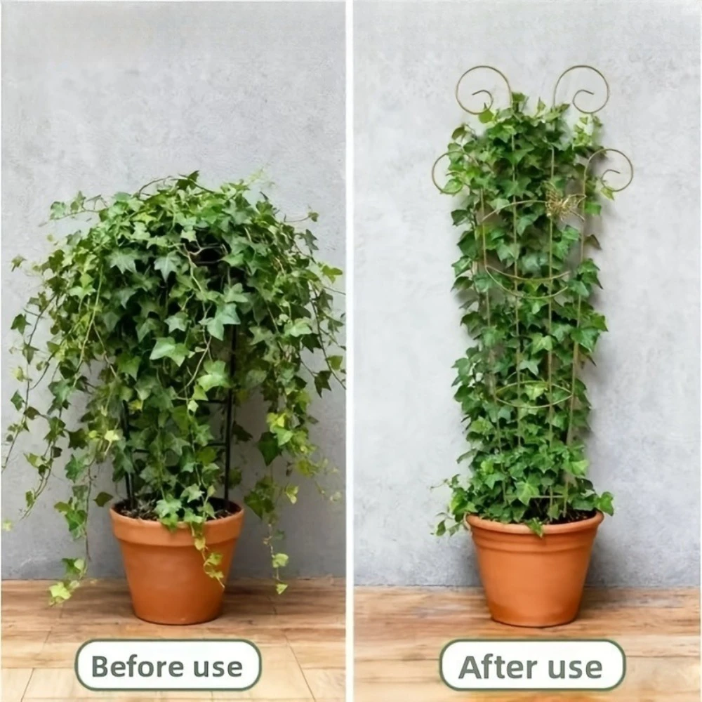 Kletterpflanzen-Gitter aus ABS – Florist Supp Bewertung und Preis