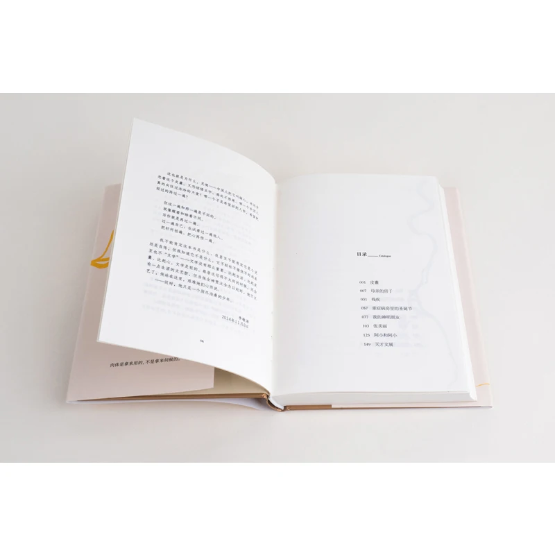 "Skin" Novel Prose Collection, Couverture rigide, Chinois, Moderne, Classique, Nettoyage recommandé, Bestseller