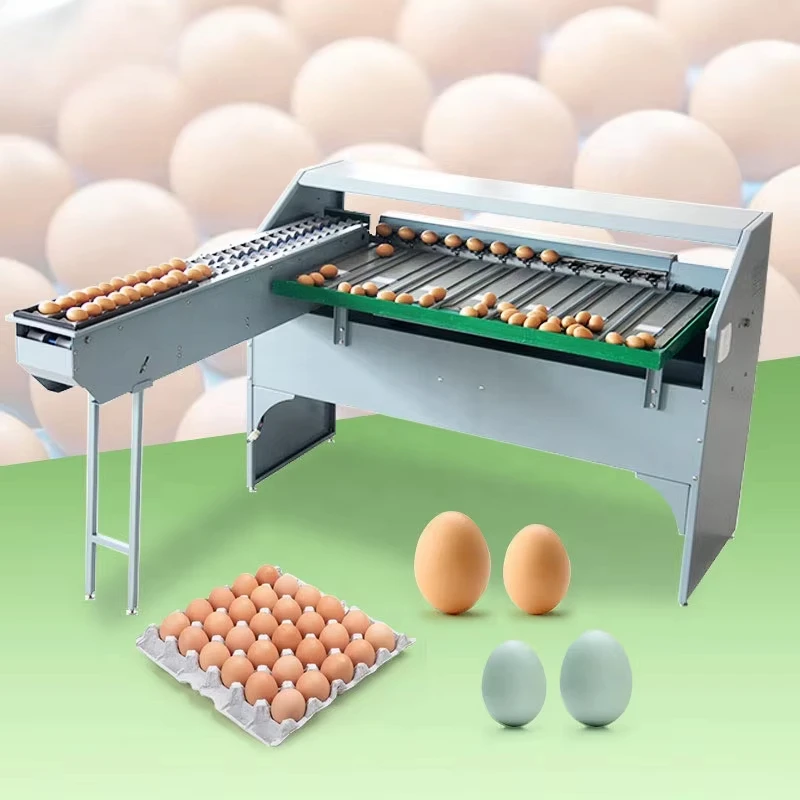 طباعة الفرز الميكانيكية سعة صغيرة Grader Egg Grader الفلبين للبيع