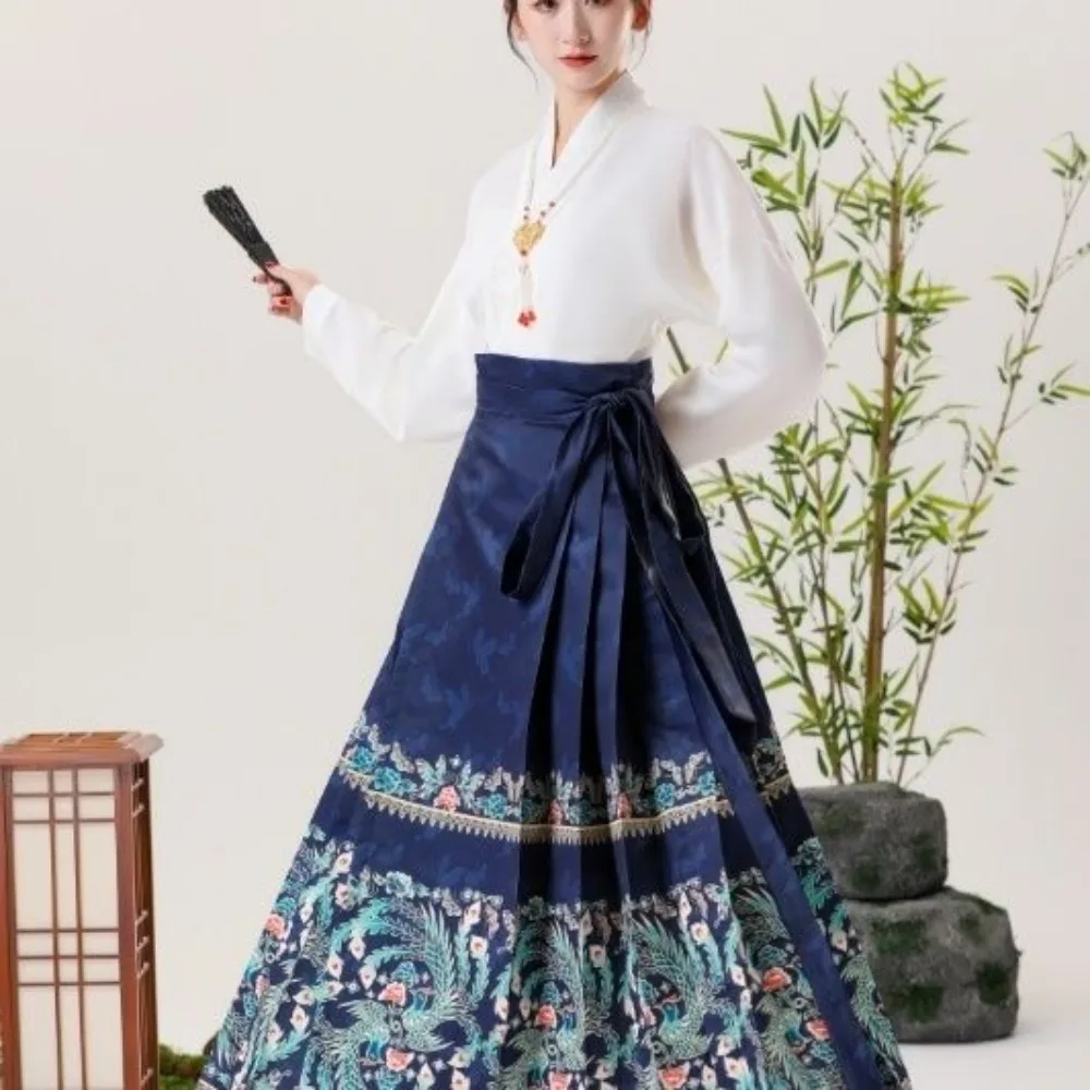 مجموعة تنورة وجه الحصان من Hanfu - تنورة Ma Mian على الطراز الصيني الجديد، أزياء تقليدية للنساء، ملابس تنحيف مناسبة للارتداء اليومي