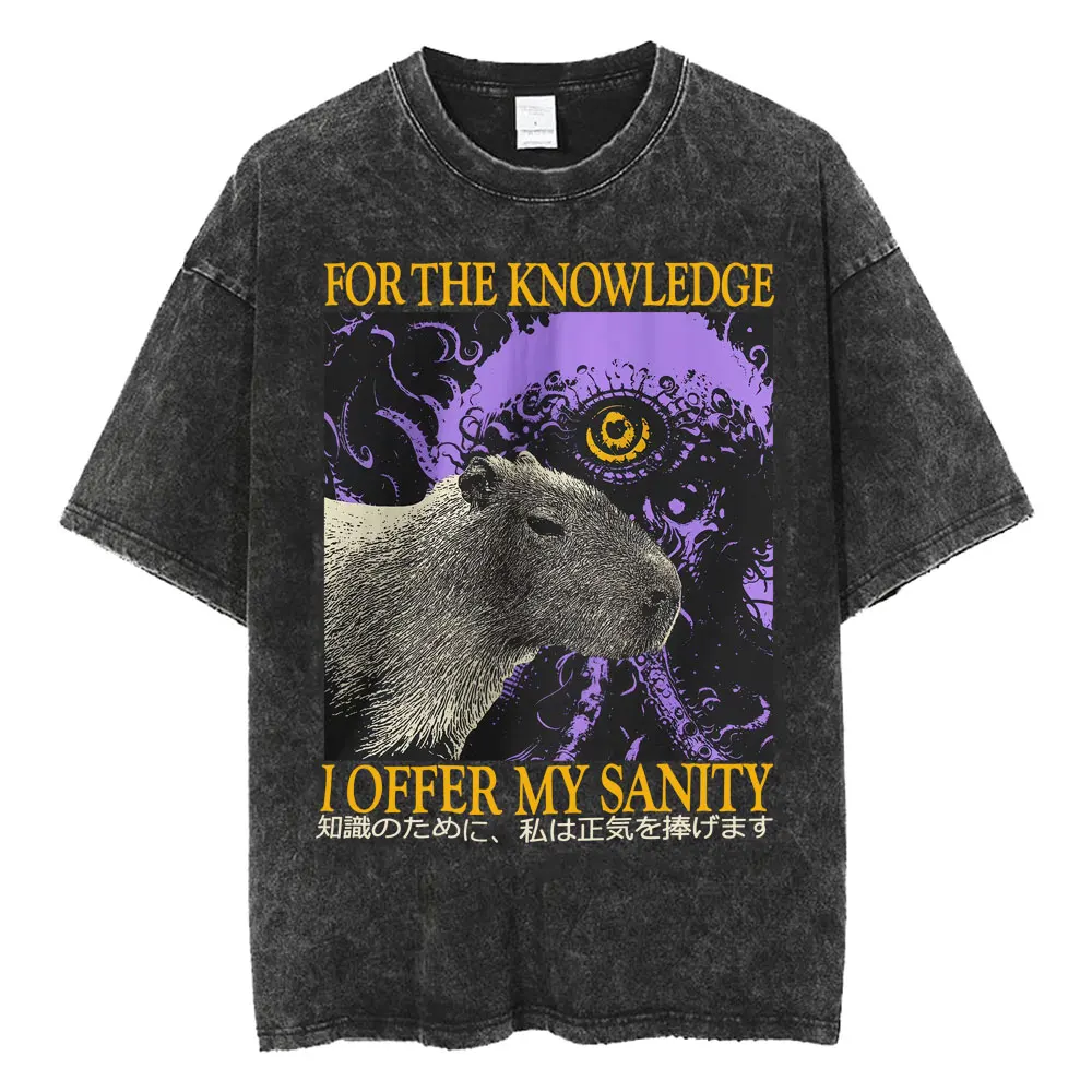 Pour la connaissance je offre ma sanité Vintage lavé T-shirts drôle japonais Capybara T-shirt hommes femmes coton décontracté confortable T-shirt