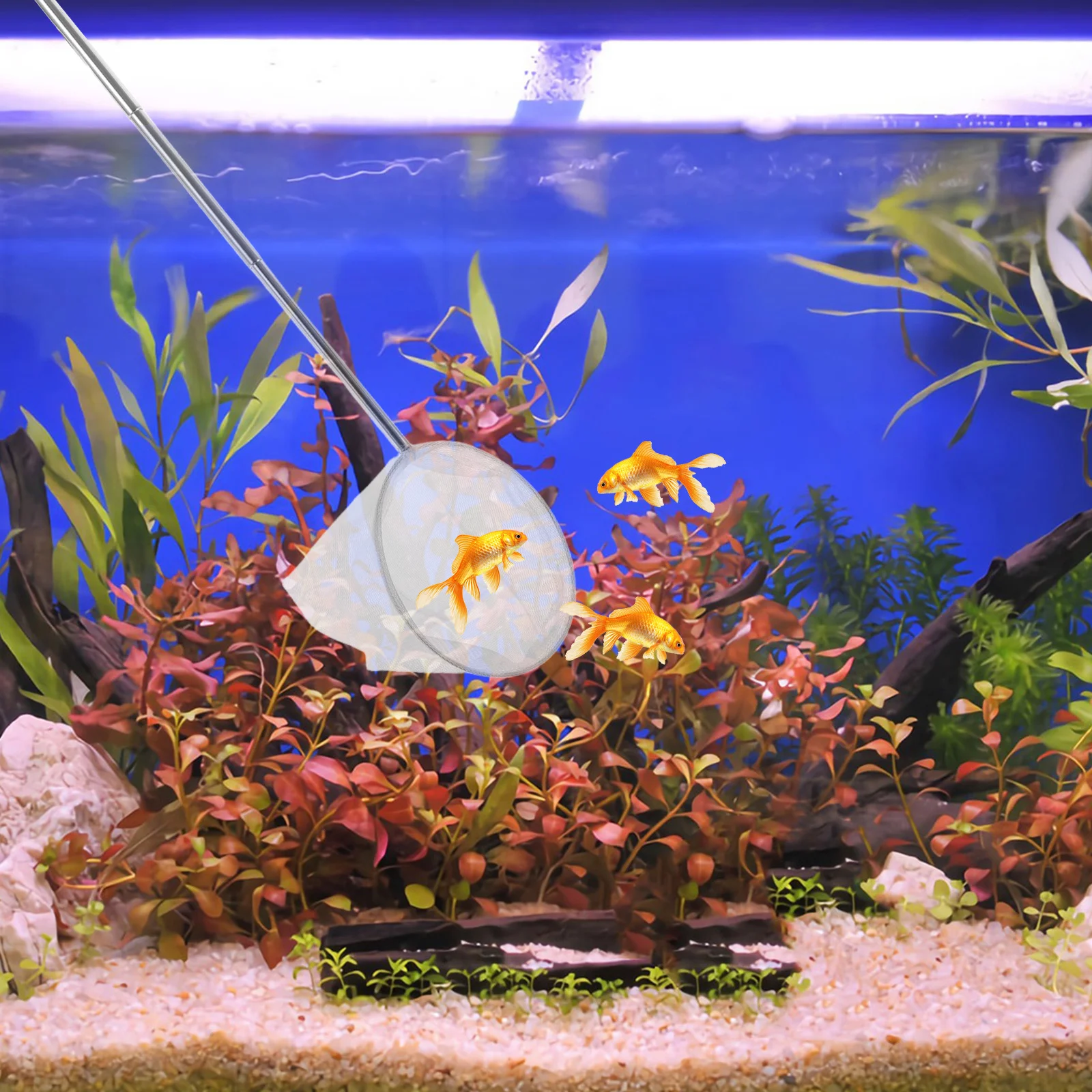 

Aquarium Fish Tank Net Telescopic Stainless Steel 3D Fine Mesh Small Fish Shrimp Catching Net Cleaning