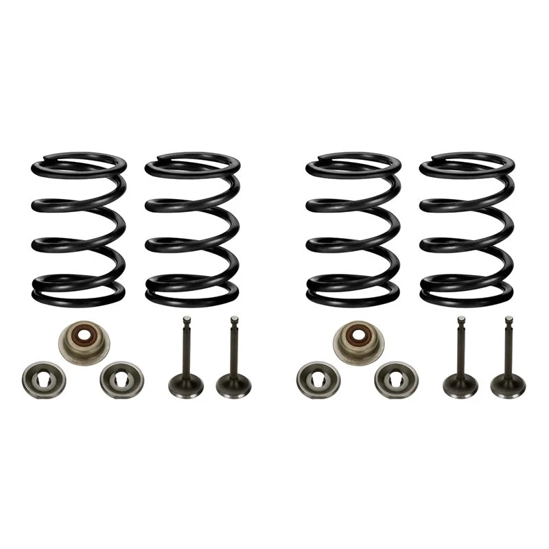 A03Z-2X Racing 18Lb Valve Springs Kit For Predator 196Cc 212Cc 224Cc Non Hemi GX160 GX200 6.5HP OHV Clone Engine Mini Bike