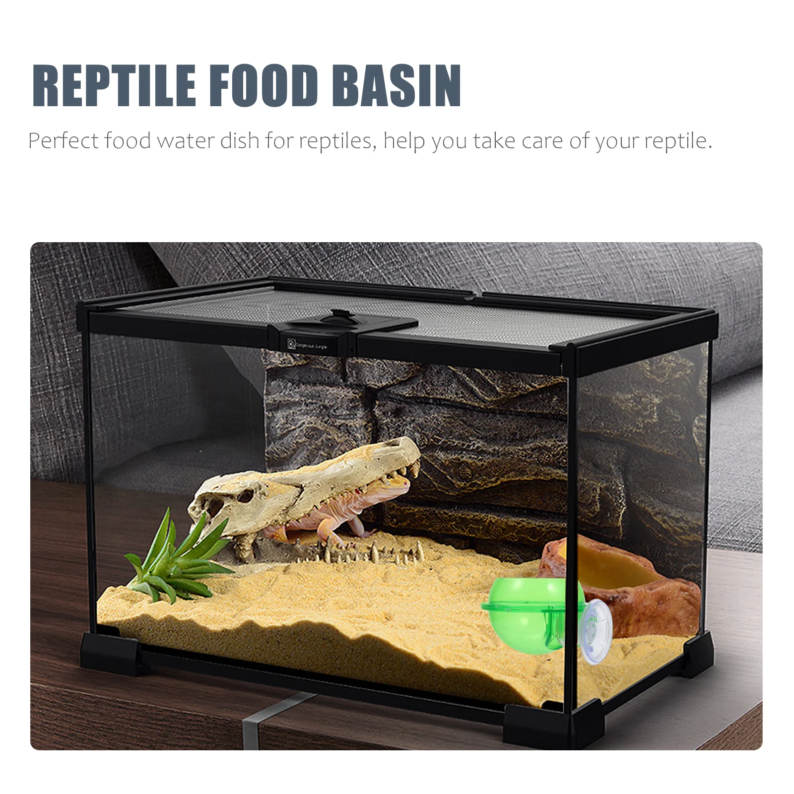 

2Pcs Plastic Reptile Water Fountain Reptile Drinker Bowl for Gecko Lizard Turtle Crawling Pet Feeding Tool Suction Cup Included