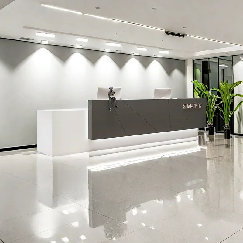 

Reception Counter Cosmetics Minimalist Furniture Hairdressing Bar Desk Modern Advanced Help Mostrador Recepcion Center Aesthetic