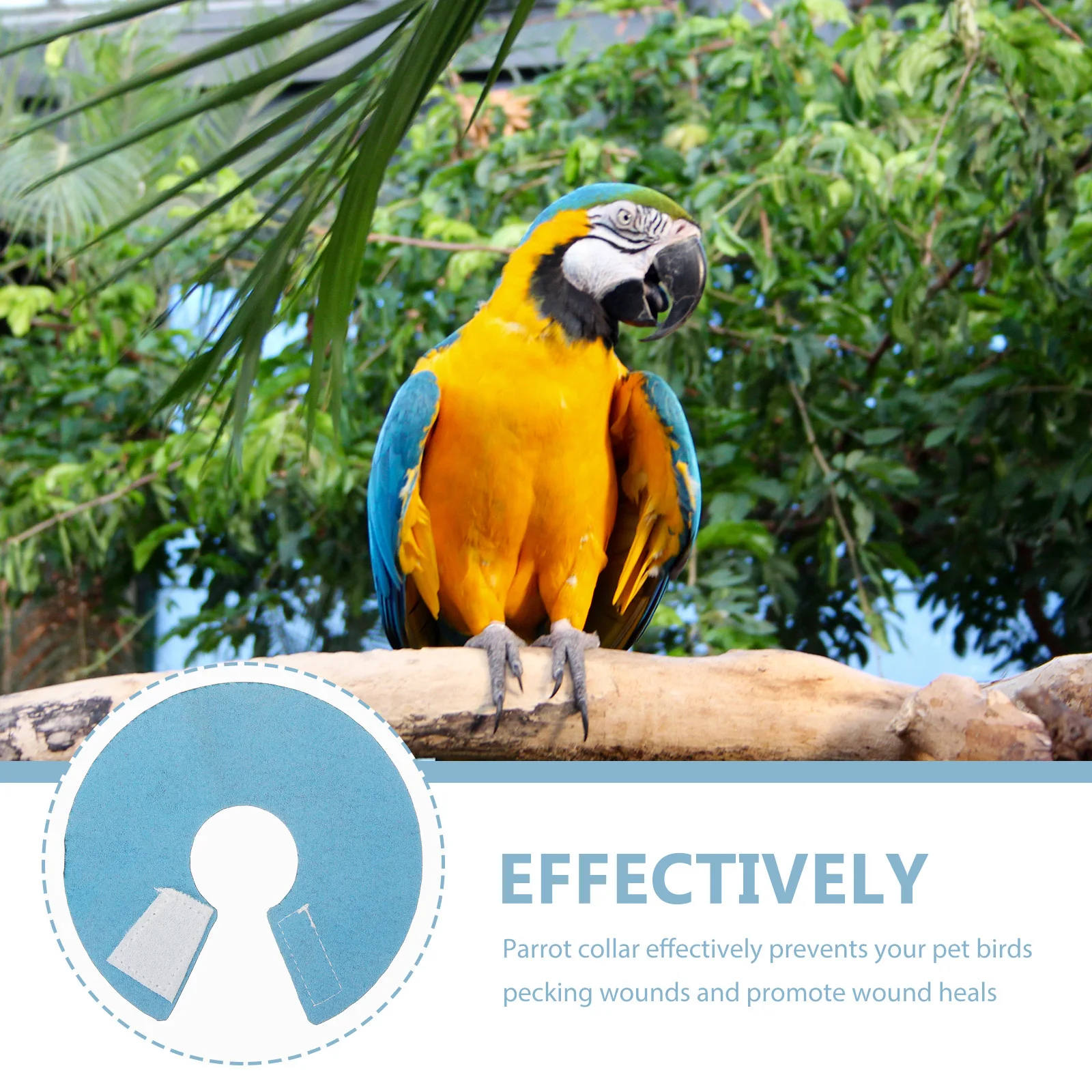 

Parrot Cone Collar Size M Bird Anti-Bite Neck Protector Collar Protective Wound Care Bird Accessories Parrot Cones