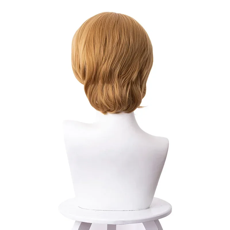 كريستوف شعر مستعار تأثيري 30 سنتيمتر قصيرة مستقيم مقاومة للحرارة الاصطناعية الشعر حفلة الكبار شعر مستعار غطاء مجاني