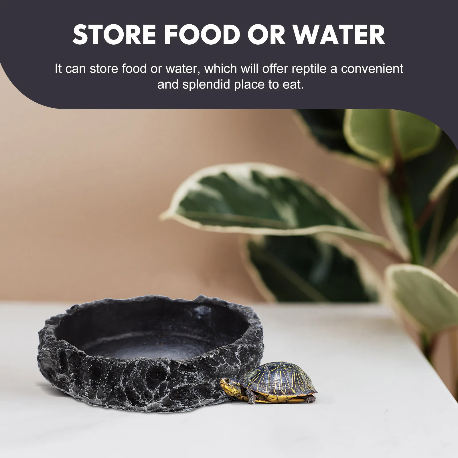 

Reptile Feeding Bowl Premium Resin Wear-Resistant Stable Water Dish Spill-Proof Decorative Reptile Dish Convenient Water Bowl