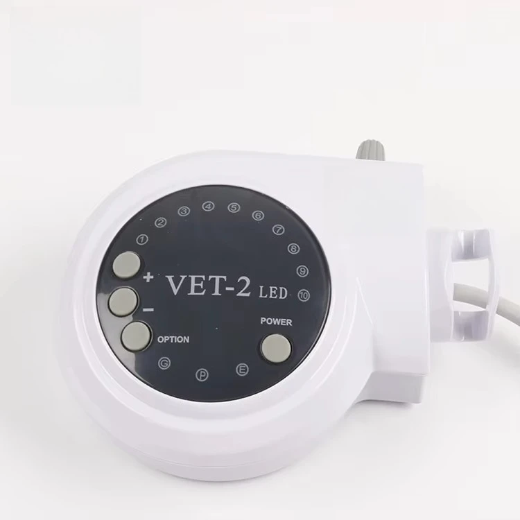 Good Quality Ultrasonic Scaler for Dogs