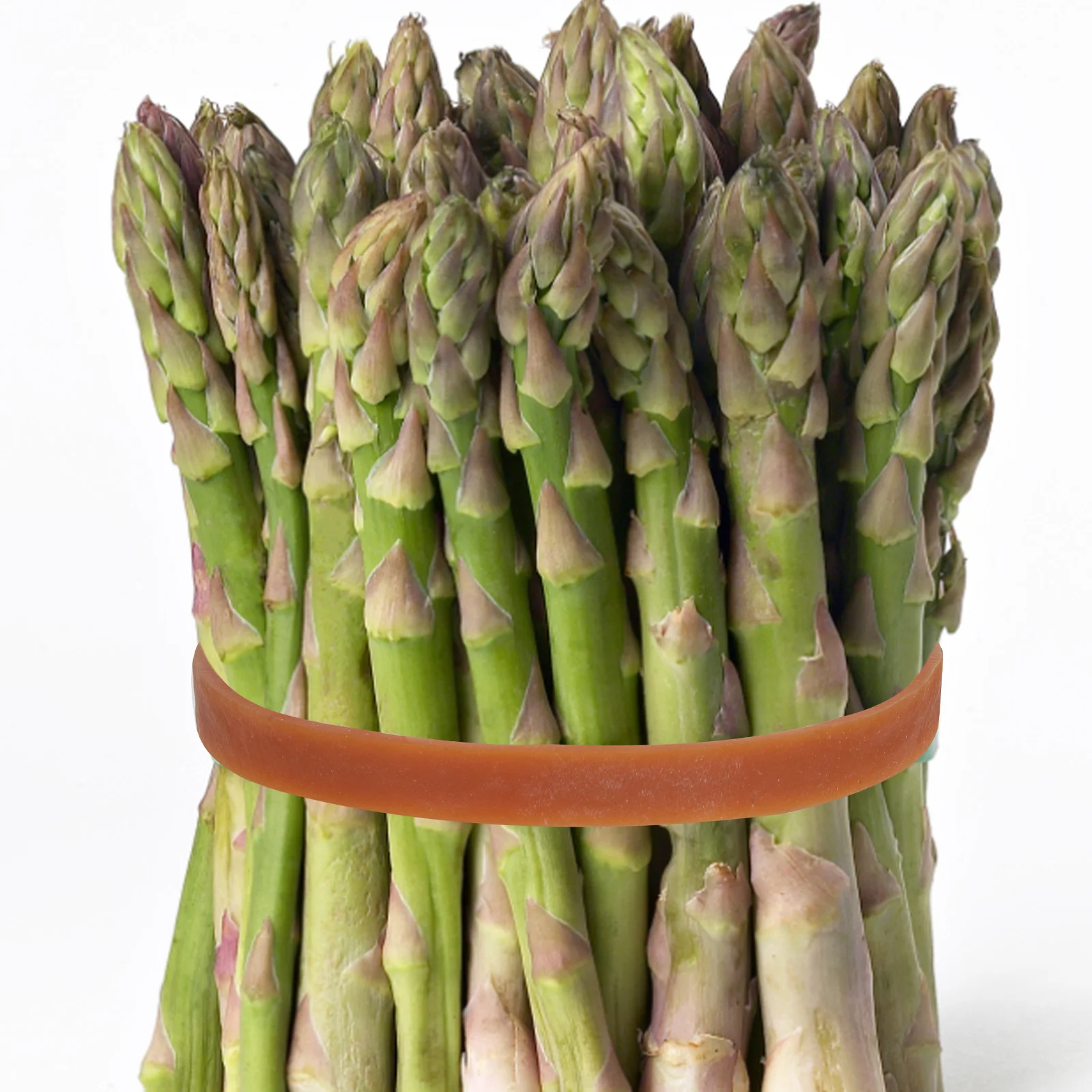 

1Set Thick Rubber Bands Multi-Function Mold Fixation Strap Binding Belt Heavy Duty Elastic Stretch Rubber Bands