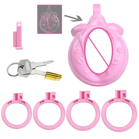 Chastity Lock Cock Cage Male Chastity Devices Lock 4 Rings The Man Plays The Woman Role-playing Flirting Couple Adult Sex Toys