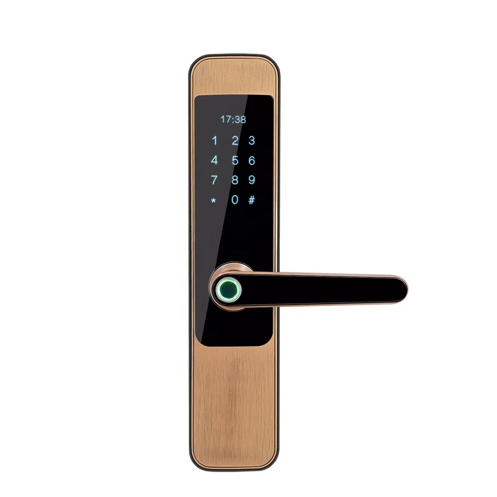 Smart WiFi Deadbolt Automated Door Locks Remote Control Blue--tooth App Safe Smart Lock for Home