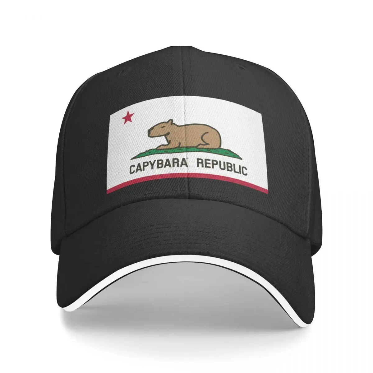 

Capybara Flag (relaxed land version) Baseball Cap fashionable Military Cap Man Caps Male Women's