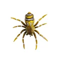 Spider-6G-05