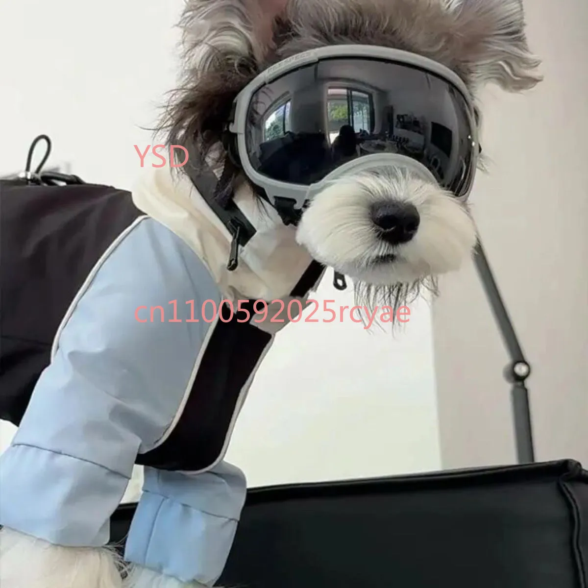 Dog clothes autumn and winter new small dog Teddy Bichon Schnauzer pet winter warm jacket