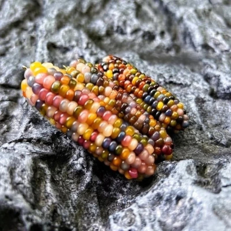 Corn hand handle plate play decompression colorful gemstone corn pendant