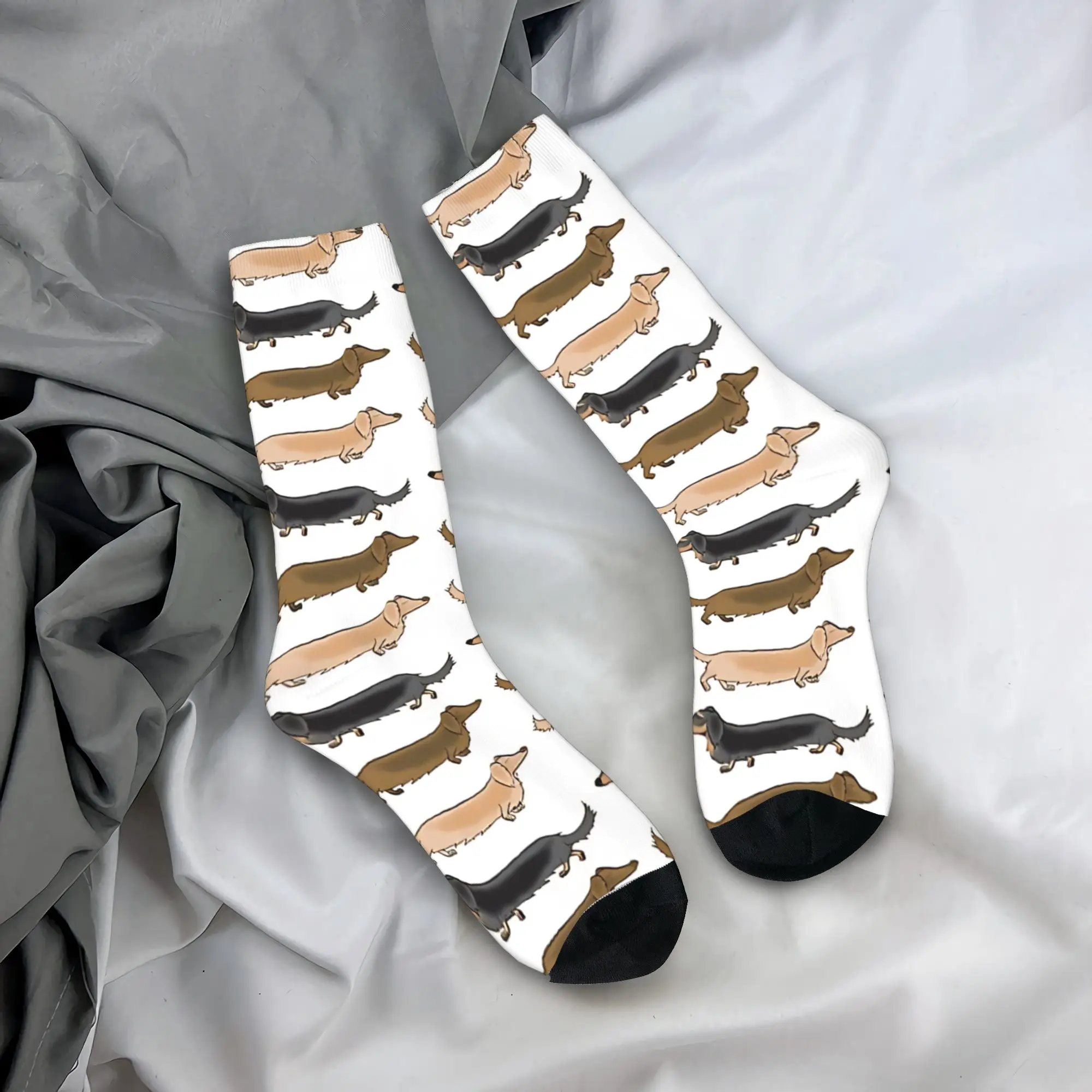 

Современные носки с рисунком длинношерстного такса-дакшунда, мужские, средней мягкости, осенние, противоскользящие, для активного отдыха, подарок