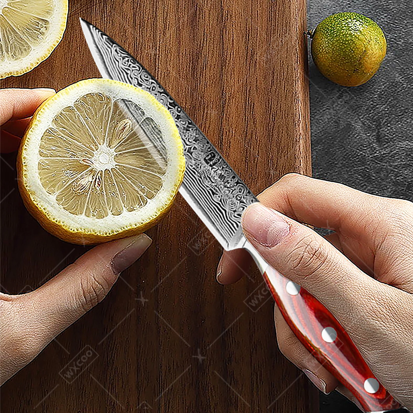 TAMZUO 5 بوصة فائدة سكينة الفا - مراجعة Japanese Knife وسعره