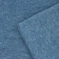  blue (blanket)