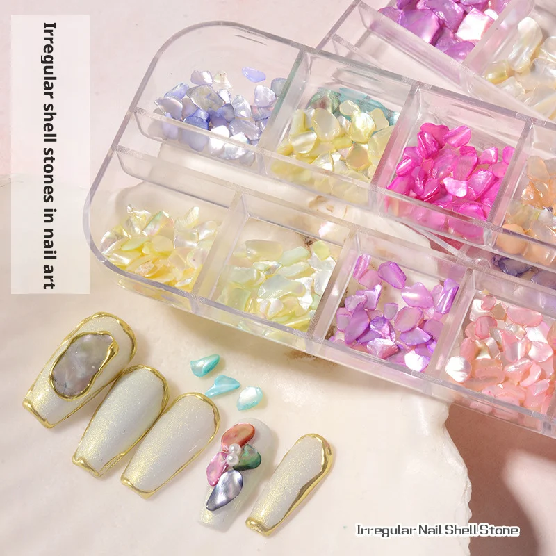 YYM 1 Box Natürliche Abalone-Muschel Nagelkunst-Set 3D Unregelmäßige Ozean-Nagelcharms Schillernde Nageldekorationen Kit Maniküre-Zubehör