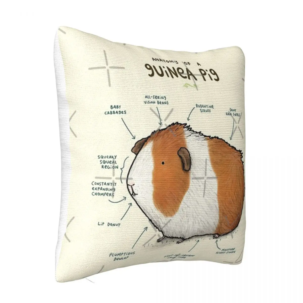 Anatomy Of A Guinea Pig Dakimakura Dakimakura Cover Cushions For Living Room Pillow Case Pillow Cover