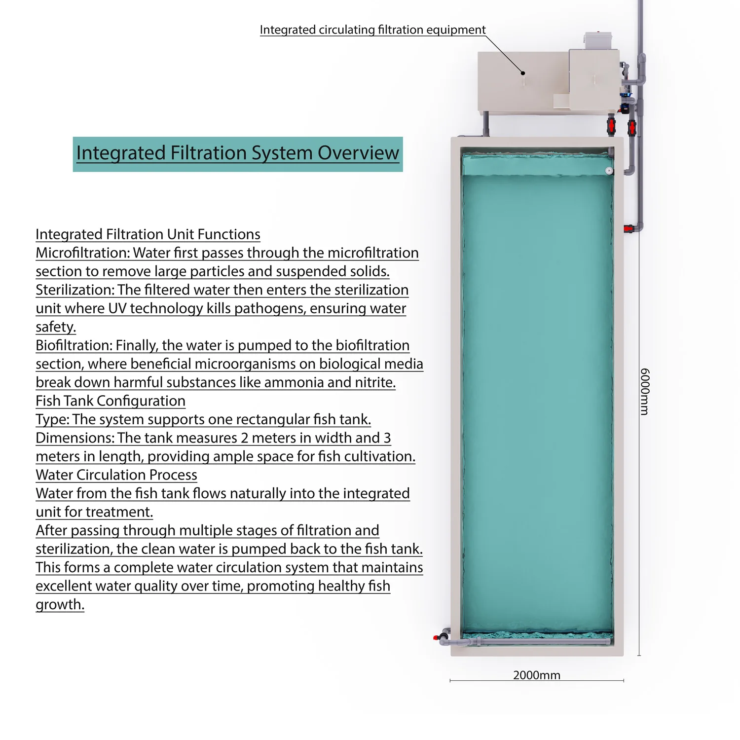 Integrated RAS Filter Equipment for Shrimp and Fish Ponds Environment Friendly Aquaculture System with 10-20m/H Capacity