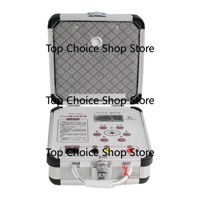 -621 Digital Megohmmeter 1-Year Warranty Electronic Power Tester with Voltage Capacity