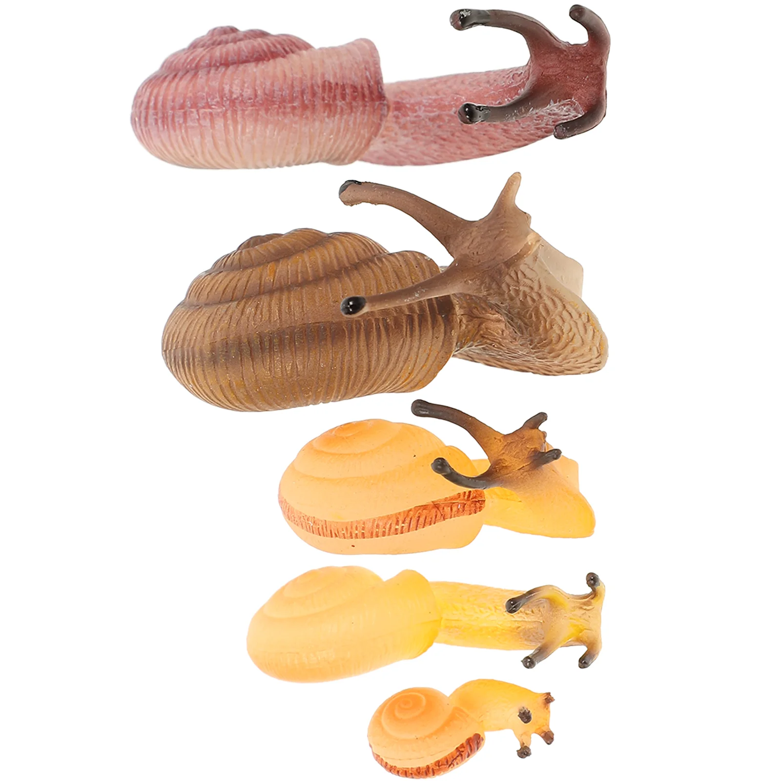 

5 Pcs Simulation Snail Toy Cognitive Model Miniature Statue Fake Toys Animal Snails Small Figurines Plastic Realistic Child