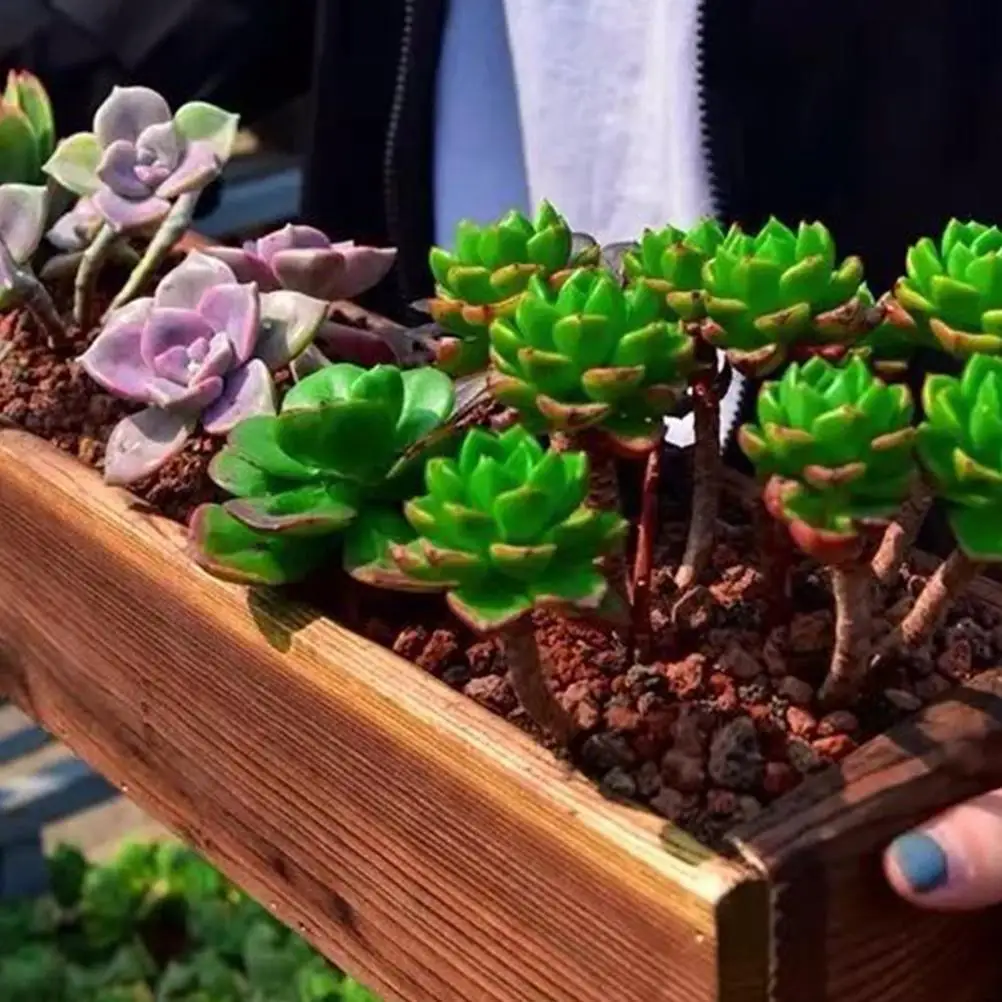 30X11X8.5Cm Rectangular Carbonized Solid Wood Flower Planter Box Outdoor Balcony Garden Indoor Cedar Window Boxes Wooden Flower - Image 2