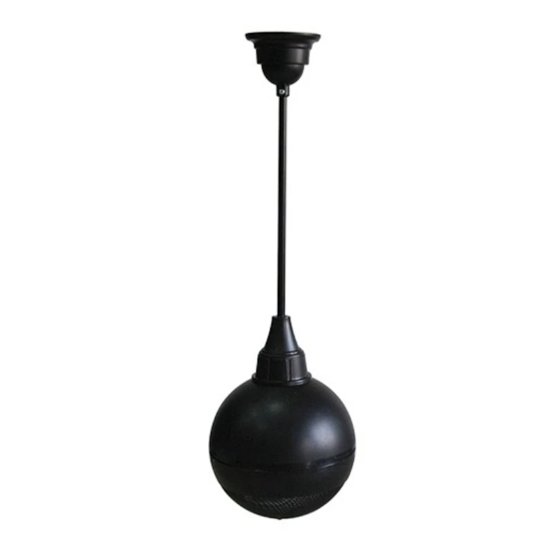 

Hoisting Speakers School Mall Public Radio Speakers