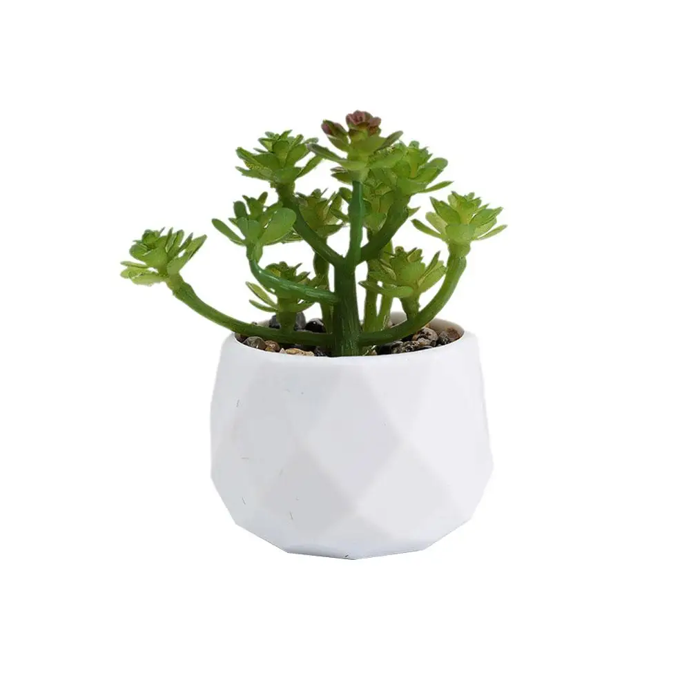 Simulation Ucculent Bonsai Plants Artificial Succulent Home Ornaments Small Decoration Potted N5b9