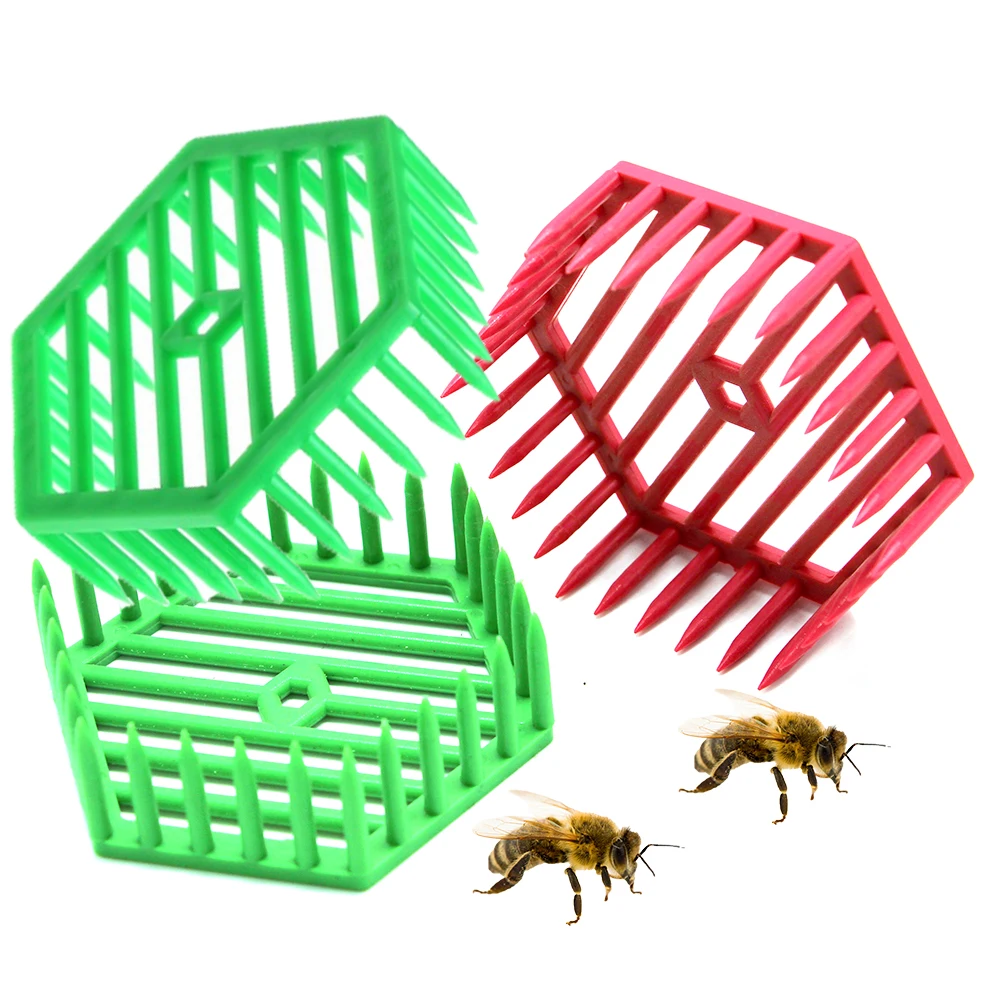 12pcs/20pcs/30pcs Bee Plastic Press In Comb Cages 4.3mm Gap For Workers Bee Pass Queen Imprison Prisoner Catchers Raising Tools