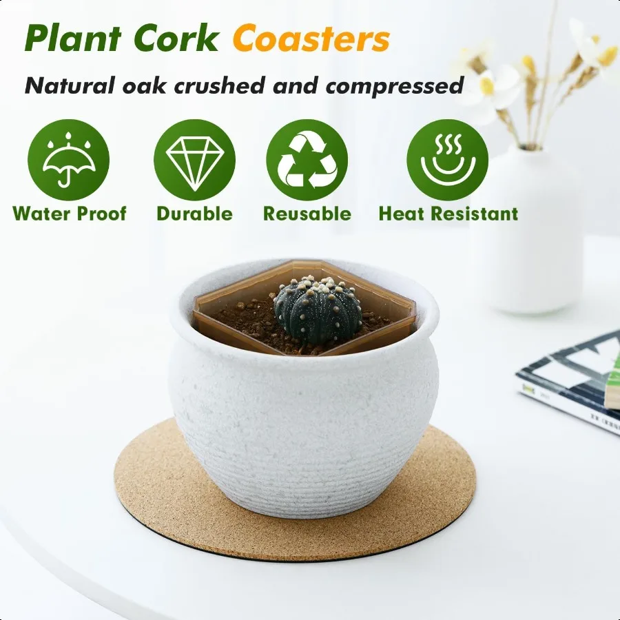 30 Pack Cork Plant Coasters 4 6 8 Inch Cork Plant Saucer for Indoors Bulk Corkwood Coasters Set Round Corkwood Placemats Plant