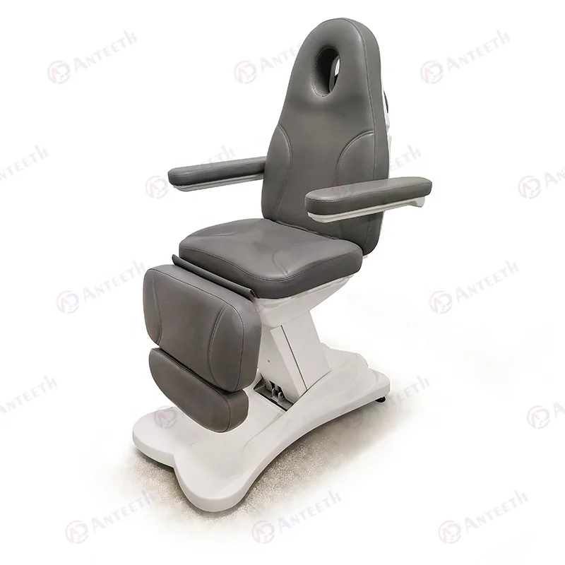 3 4 Motor Electric Spa Tattoo Bed Massage Table With Light Beauty Salon Treatment Chair Esthetician Bed Electric Facial Bed
