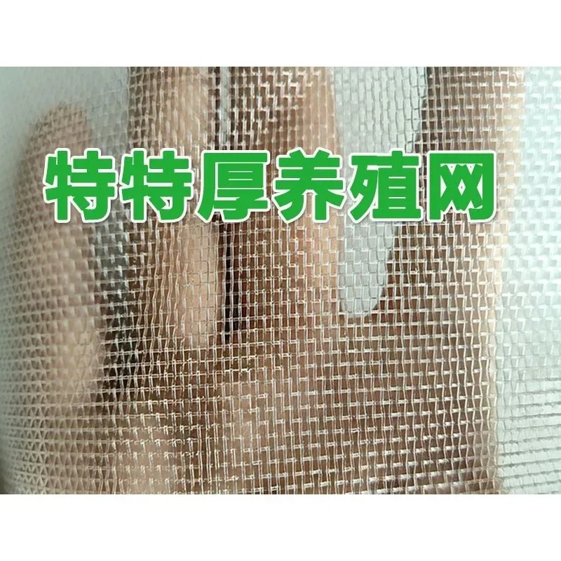 Grasshopper Arch  Locust with Shoulder Height Arch  Wasp Square Arch Mesh Grasshopper Mesh Gauze