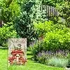Mushroom Garden Flag 12x18 Inch Double Sided Mushrooms and Musical Frog Spring Summer Yard Flags for Outside Cottagecore Gar jjp