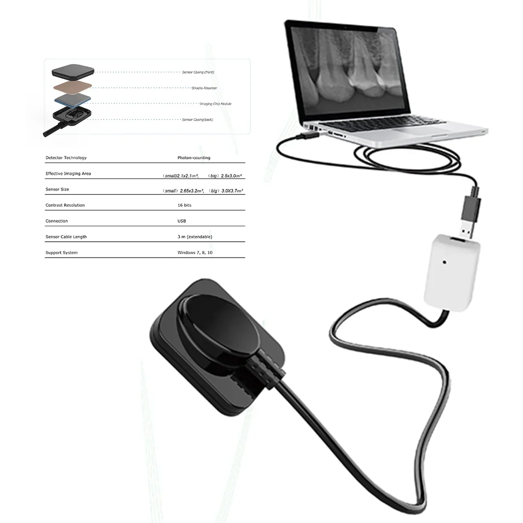 LK-C62B Cheap Digital X-ray RVG Sensor Imaging System