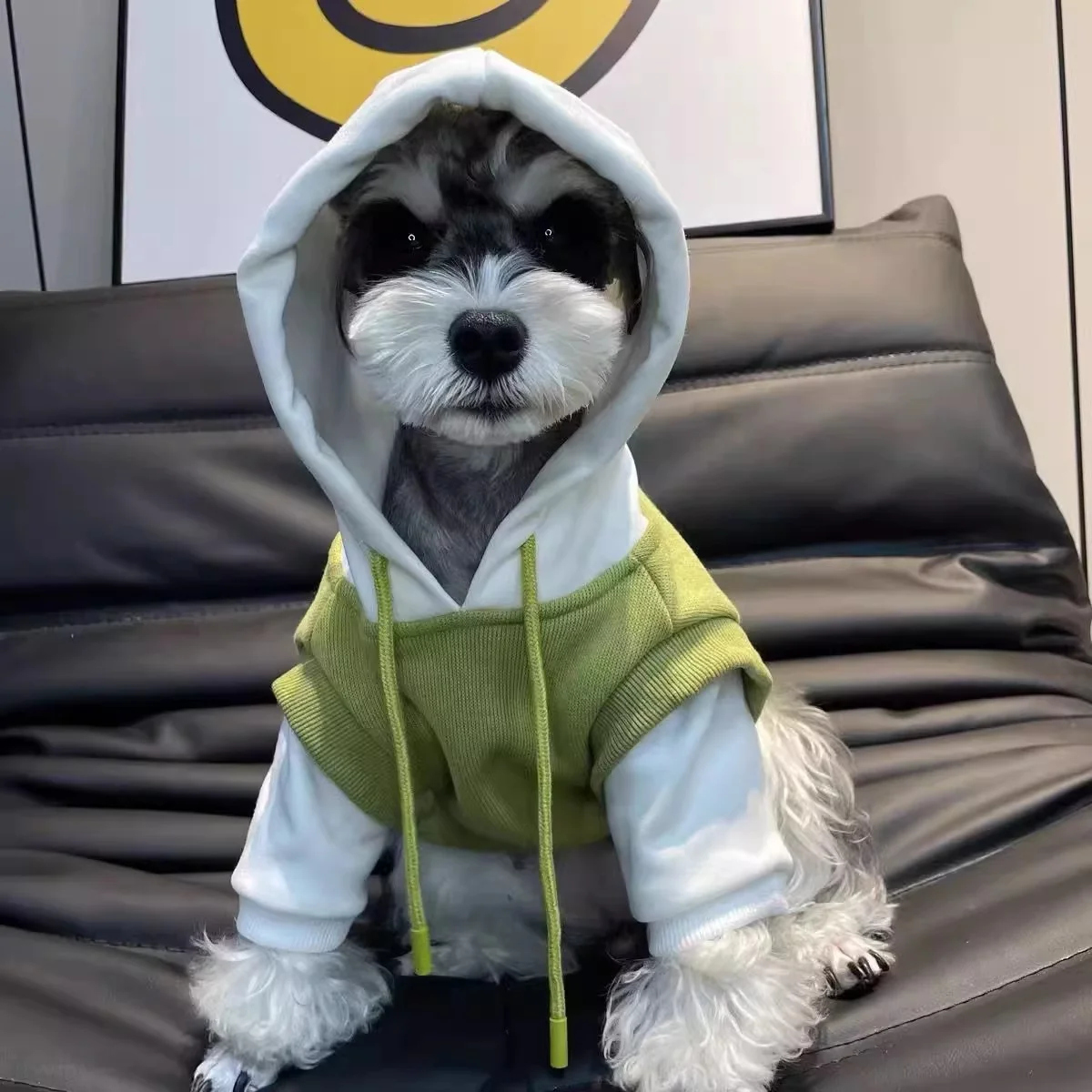 Small Dog Hoodie Two Tone Patchwork Puppy Sweatshirt Autumn Winter Pet Clothes for Small Breed Dogs