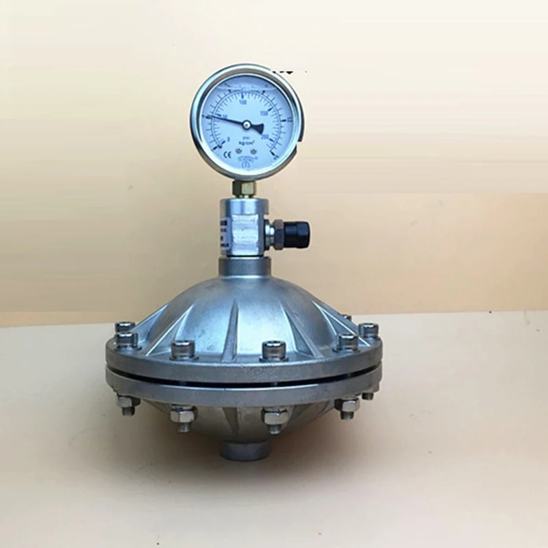 Stainless Steel 304 Pulse Damper Diaphragm Pulse Damper Buffer for High Temperature Water Medium