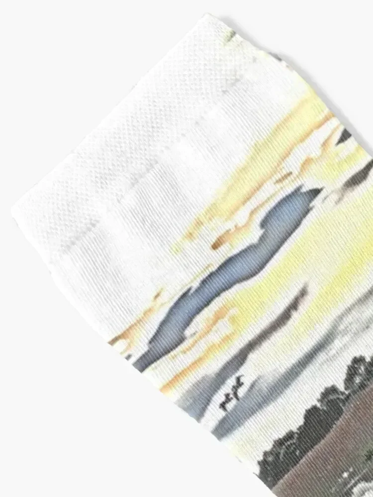 Pelicans at sunset - mixed media 1 Socks floor luxury designer Crossfit Socks Girl Men's