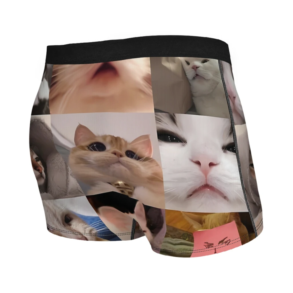 Cat Meme Funny Meme Cats Collection Underpants Homme Panties Man Underwear PrintShorts Boxer Briefs