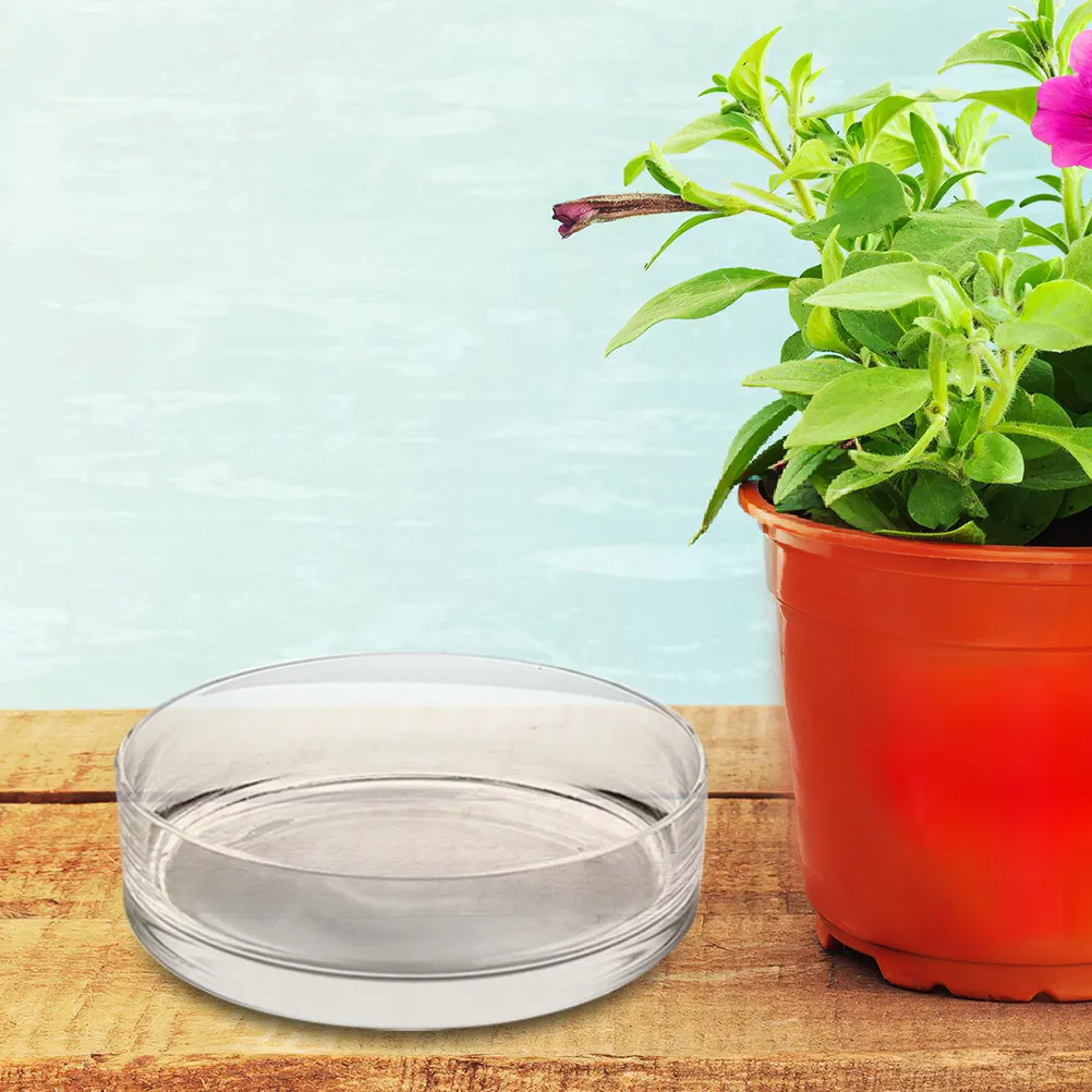 

Прозрачная стеклянная ваза для гидропоники, круглый декоративный стеклянный цветочный горшок, домашний аквариум для рыбок