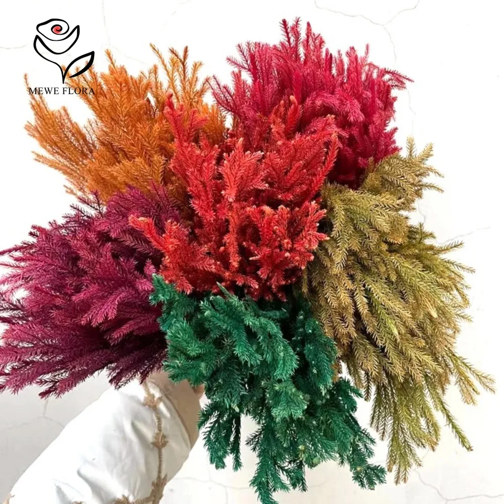 Natural Dried Lycopodium Grass Christmas Decoration Eternal Preserved Flowers Green Plants for Home Xmas Arrangement Crafts