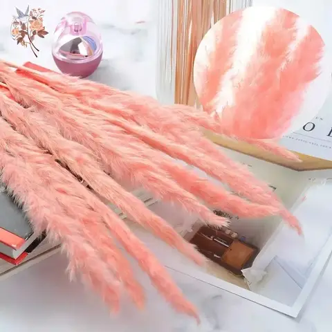 Pink Natural Pampas Grass Dried Flowers Fluffy Bulrush Home Boho Decor Phragmites Reeds Wedding Christmas Vase Filler DIY Gift