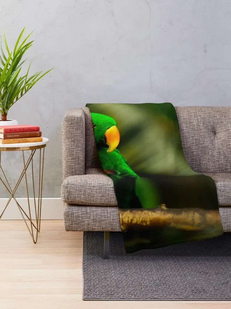 Exotic Bird Green Parrot Eclectus male Throw Blanket blankets and throws valentine gift ideas Blankets