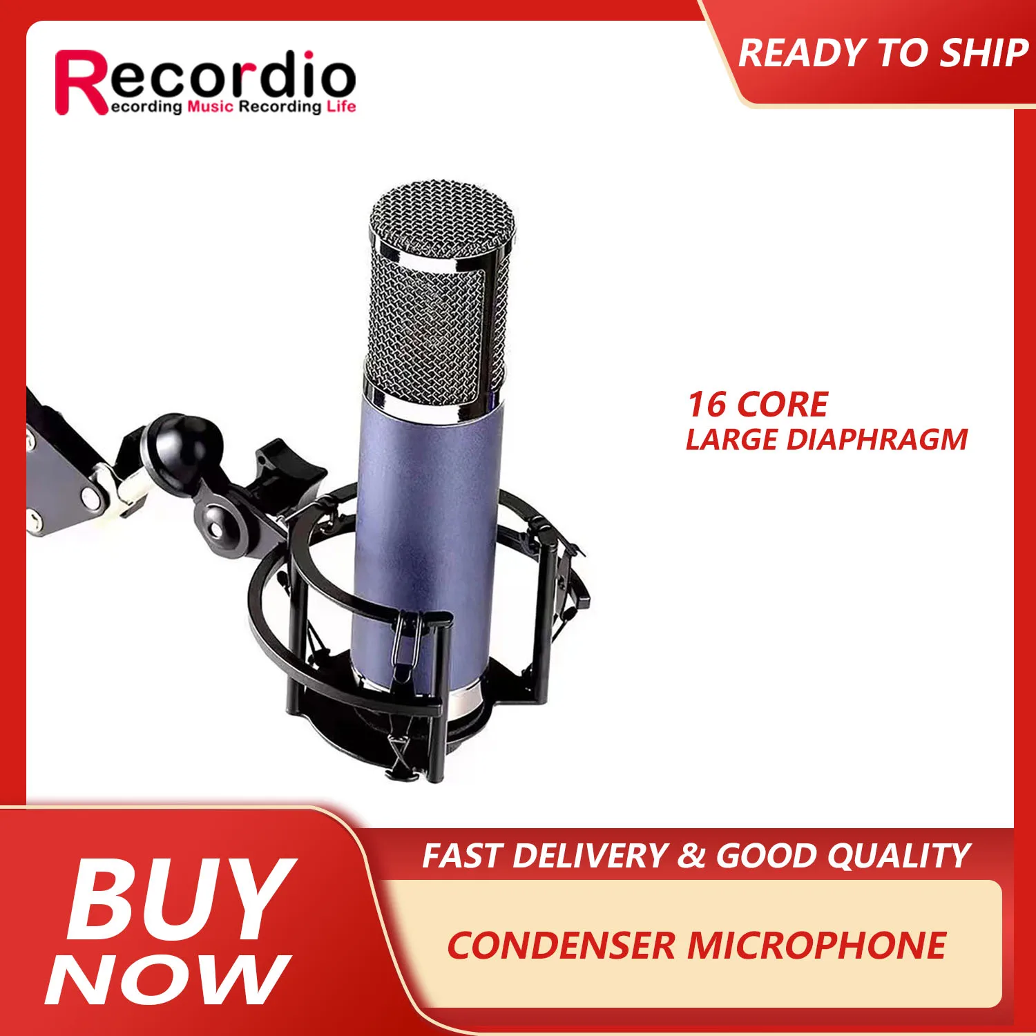 

GAM-F16 F22 Large Diaphragm Condenser Microphone 16 Core Live Microphone Recording Microphone Sound Card Microphone